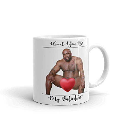 11 oz Romantic Valentine s Day Coffee Mug -Barry Wood You Be My Valentine Funny Coffee Mug Novelty Cup Gift Idea Gift For Men Women Valentines Day Birthday Wedding Anniversary