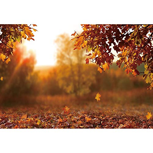 YongFoto 7x5ft Autumn Sunset Bokeh Photography Backdrop Yellow Maple Trees Fallen Leaves Background Interior Decorations Kids Adult Artistic Portrait Photo Shoot Studio Props Wallpaper YongFoto 7x5ft Autumn Sunset Bokeh Photography Backdrop Yellow Maple Trees Fallen Leaves Background Interior Decorations Kids Adult Artistic Portrait Photo Shoot Studio Props Wallpaper