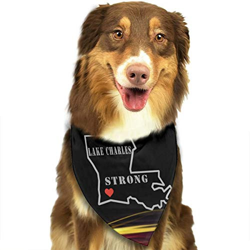 HJKH PJKL Lake Charles Strong Map Pet Dog Puppy Cat Balaclava Triangle Bibs Scarf Bandana Collar Neckerchief Mchoice - Any Pets