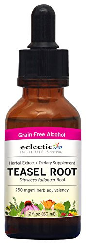 Eclectic Teasel Root Cog O  Red  2 Fluid Ounce