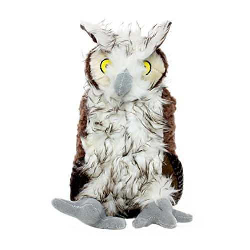 Mighty Nature Owl