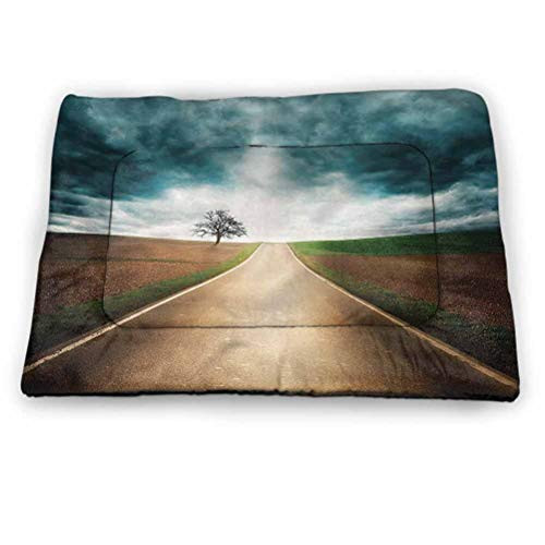 prunushome Landscape Dog Bed Roads Travel Clouds Pet Shock Mat  18 inchx12 inch