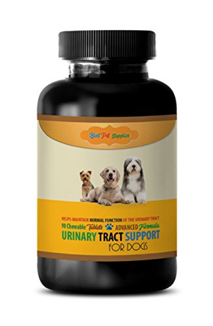 BEST PET SUPPLIES LLC Urinary Tract Infection for Dogs - Dogs Urinary Tract Support - Maintain Health Function - CHEWABLE - Dog Bladder Pills - 90 Treats  1 Bottle