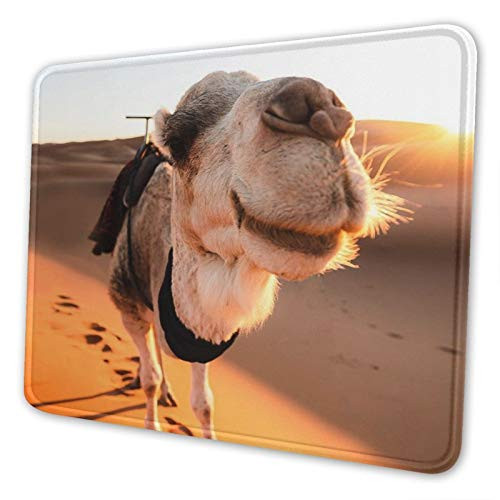 Camel in The Sunset Rectangle Non-Slip Rubber Mousepad Gaming Mouse Pad Square Mouse Mat for Desktops Computer Laptops