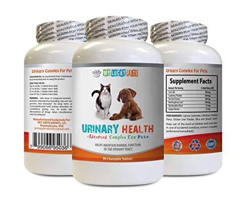 cat Urinary Diet - Pets Urinary Health Complex - for Dogs and Cats - Advanced Bladder Support - Corn Silk for Cats - 1 Bottle  90 Treats