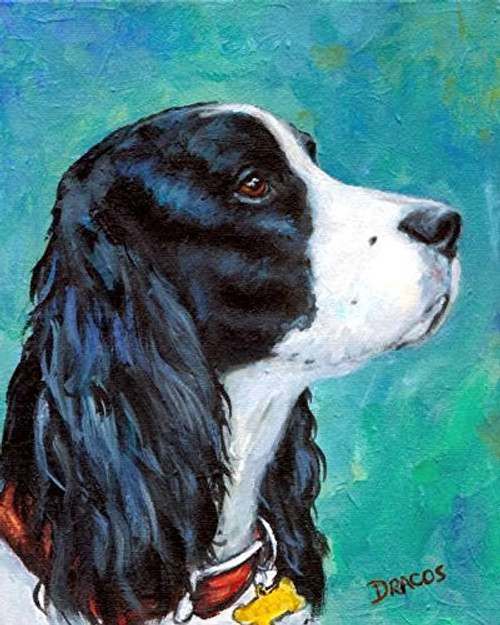 English Springer Spaniel Dog Art Print  Black and White English Springer Spaniel Profile Portrait  Print of Original Dog Painting by Dottie Dracos  .