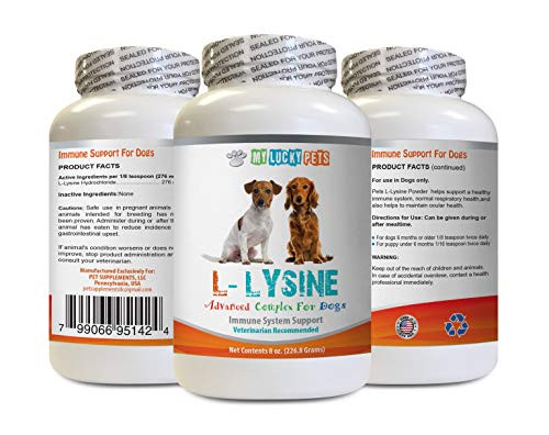 Amino acids for Dogs - Dog LYSINE Powder - Pure Powder Form - Immune System Support - Vet Recommended - lysine Treats - 1 Bottle  8oz 226.8 Grams