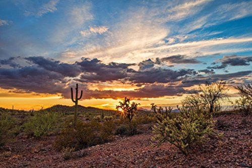Colorful Sonoran Desert Sunset with Saguaro Cactus Photo Art Print Cool Huge Large Giant Poster Art 54x36