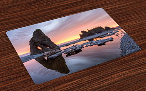 Ambesonne Driftwood Place Mats Set of 4  Setting Sun Theme with Sea Stacks and Driftwood at Ruby Beach Digital Image  Washable Fabric Placemats for Dining Room Kitchen Table Decor  Orange and Grey