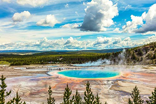 Jigsaw Puzzle Yellowstone National Park 1000-Pieces by Arts Puzzles