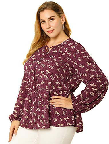 Agnes Orinda Women s Plus Size Peplum Tops Tie Up Neck Floral Blouse 2X Red