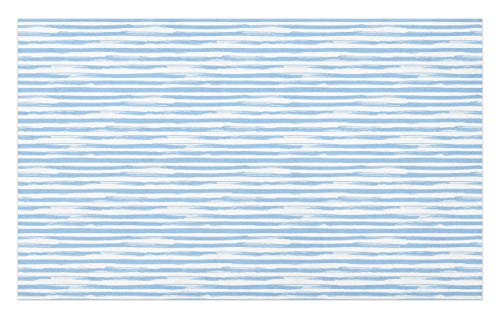 Ambesonne Harbour Stripe Doormat  Soft Toned Nautical Uniform Brushstroke Simplistic Lines Theme  Decorative Polyester Floor Mat with Non-Skid Backing  30 inch X 18 inch  Pale Blue White Ambesonne Harbour Stripe Doormat  Soft Toned Nautical Uniform Brushstroke Simplistic Lines Theme  Decorative Polyester Floor Mat with Non-Skid Backing  30 inch X 18 inch  Pale Blue White