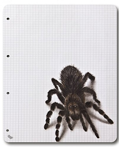 1art1 Spiders Mouse Pad - Tarantula On College Block  9 x 7 inches