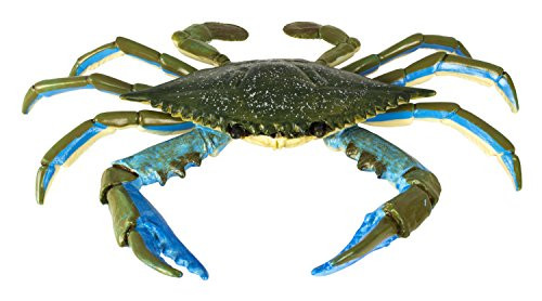 Safari Ltd  Incredible Creatures Blue Crab