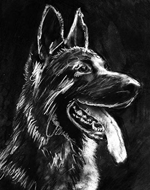 German Shepherd Gift  Wall Art Print  Black German Shepherd Artwork  GSD Owner Gift  Charcoal Alsatian Dog Art  Dog Wall Art Print  Signed Art Print by Oscar Jetson