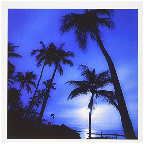 Hawaii  Kapalua Beach. Sunset and palm trees - Greeting Cards  6 x 6 inches  set of 12  gc_89744_2