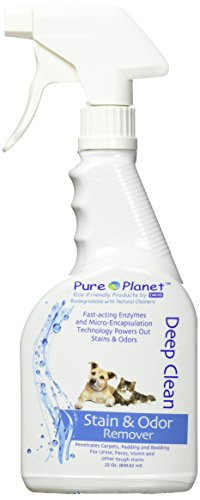 Davis Pure Planet Deep Clean Stain  and  Odor Remover  22 oz