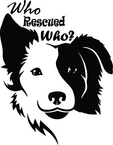 Who Rescued Who ? Dog Lovers Wall Decals for Walls Shelter Pound Non Profit Paw Paws Print Heart Hearts Dogs Animal Animals Pet Lover Pets Vinyl Art Decor Stickers Design Size  20x20 inch