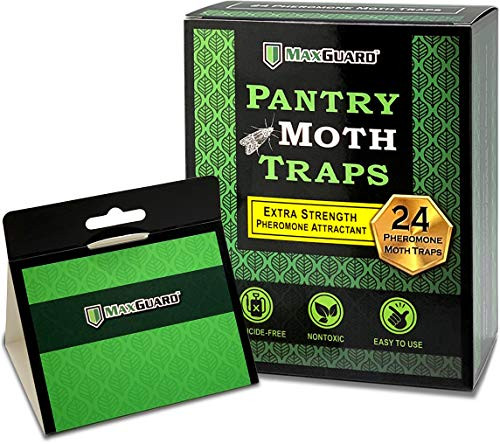 Maxguard Pantry Moth Traps  24 Pack  with Extra Strength Pheromones   Non-Toxic Sticky Glue Trap for Food and Cupboard Moths in Your Kitchen   Trap and Kill Moths   Box of 24 Traps