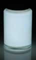 White Glow Solvent-based Paint 1 2 Fluid Ounce