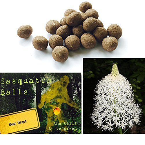 20 Bear Grass Sasquatch Balls. The Ultimate Seed Bombs for The Western US.  Xerophyllum tenax