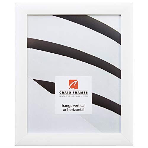 Craig Frames Contemporary Picture Frame  9 x 12 Inch  White
