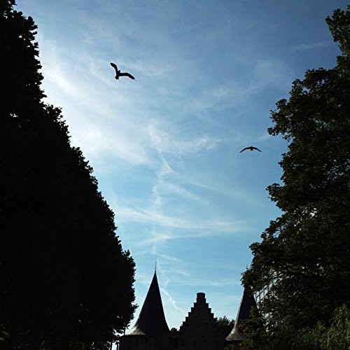 Belgium Print  Ghent Print  Gand  Gent  Travel Photography  Sky Photography  Bird Print  Wall Art  Home Decor  Wall Decor  Art Print  Nature Photography  Blue Print  Blue Wall Art