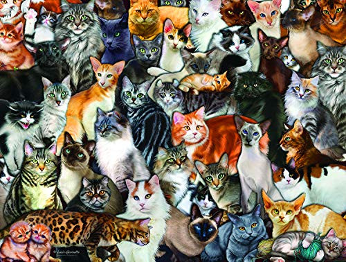Cat Collage 300 pc Jigsaw Puzzle by SunsOut Cat Collage 300 pc Jigsaw Puzzle by SunsOut