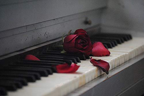 Jigsaw Puzzle 500 Pieces-Valentine s Day Piano Rose-Wooden Jigsaw Puzzle for Adults Teens Kids Family Puzzle Game Toy Gift Jigsaw Puzzle 500 Pieces-Valentine s Day Piano Rose-Wooden Jigsaw Puzzle for Adults Teens Kids Family Puzzle Game Toy Gift