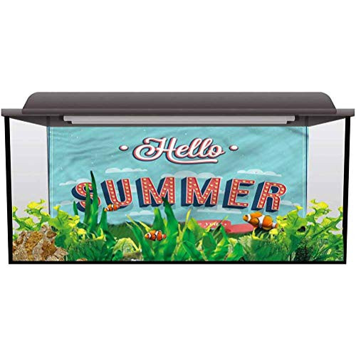 ScottDecor Aquarium Background Decoration Hello Vintage Summer Aircraft Easy to Apply and Remove L24 X H12 Inch