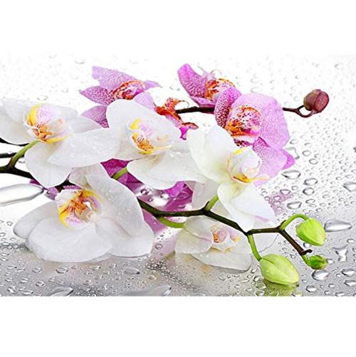 Jigsaw Puzzle 1000 Piece Flower Orchid DIY Home Decoration Gift Classic Puzzle 3D Puzzle DIY Kit Wooden Toy Unique Gift Home Decor Jigsaw Puzzle 1000 Piece Flower Orchid DIY Home Decoration Gift Classic Puzzle 3D Puzzle DIY Kit Wooden Toy Unique Gift Home Decor