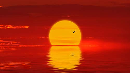 Educational Toys Jigsaw Puzzles for Kids 500-Piece - Sunset Golden Sun Reflection - DIY Wooden Games Puzzle