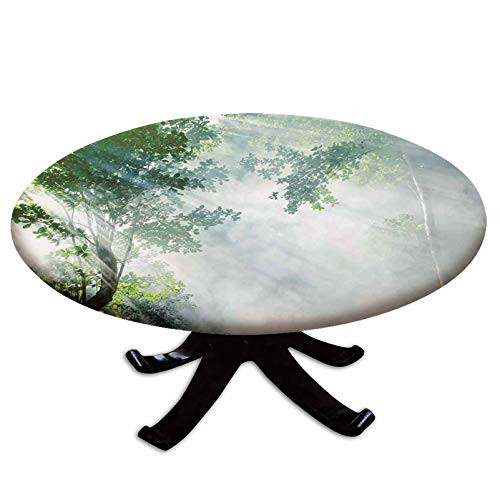 Elastic Edged Polyester Fitted Table Cover Sunbeam between Shadows of Trees Idyllic Scenery of Solitude in Jungle Theme Fits up to 36 inch Diameter Tables The Ultimate Protection for Your Table Green Whit