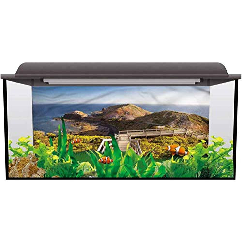 bybyhome Aquarium Wallpaper Background Australia Rocks Bridge and The Sea Easy to Apply and Remove L24 X H24 Inch