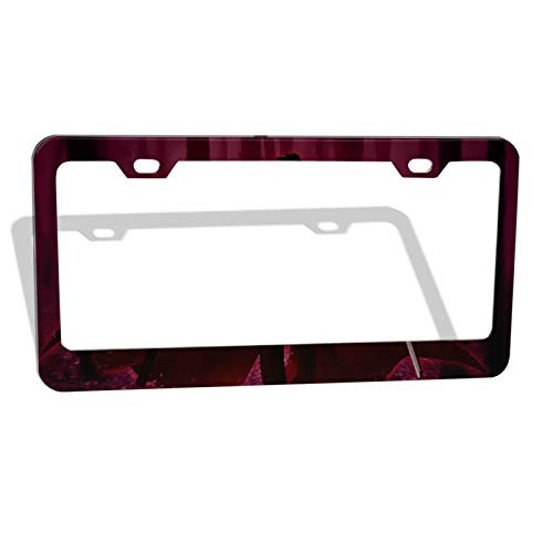 Yang2019 Personalized Anime Hellsing Ultimate Metal License Plates Signs for Car Accessories