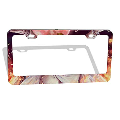 Yang2019 Custom Anime Hellsing Ultimate Aluminum License Plates Signs for Car Accessories