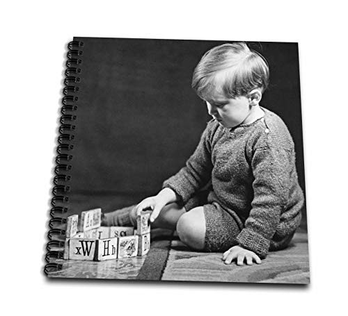 3dRose VINTAGE Magic Lantern Slide BOY PLAYING WITH BUILDING BLOCKS. - Drawing Books  db_334987_2