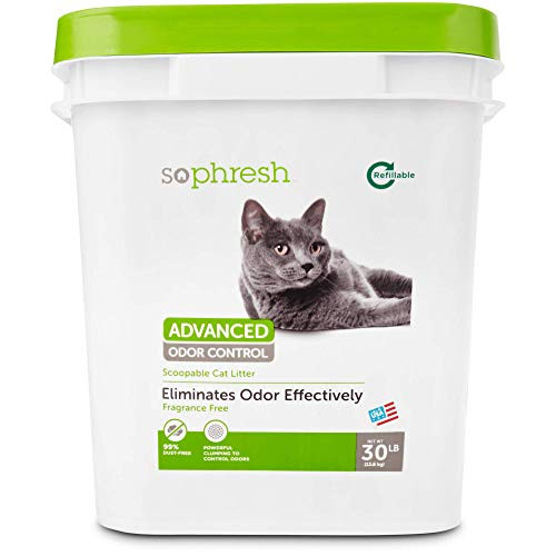 So Phresh Advanced Odor Control Scoopable Fragrance Free Cat Litter  30 lbs.
