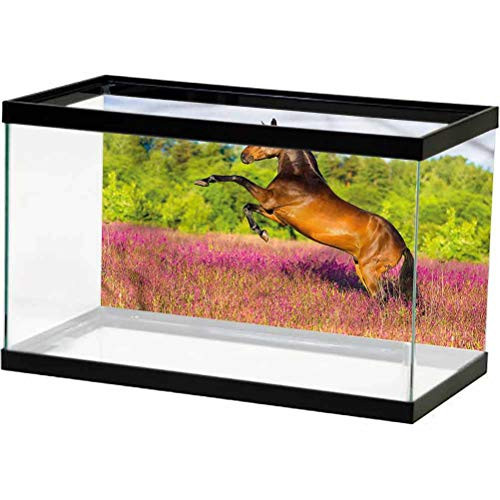 ScottDecor Horse Underwater World Backdrop Strong Bay Horse Rearing Up Paper Cling L30 X H18 Inch