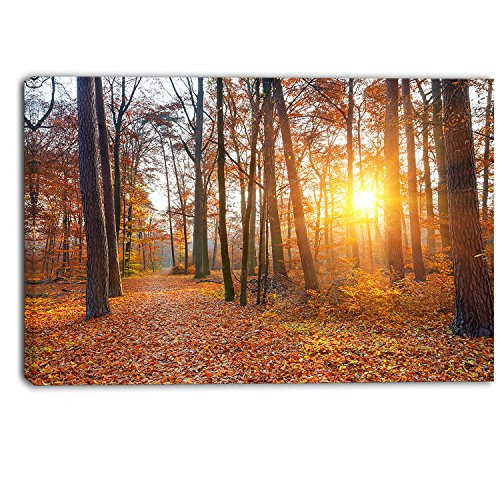Designart Sunset in Yellow Autumn Forest Landscape Photo Canvas Print, 20" x 12"