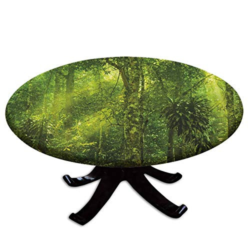 Elastic Edged Polyester Fitted Table Cover Tropical Tranquil Place with lots of Green Trees Earthly Places Untouched Jungle Fits up 40 inch-44 inch Diameter Tables The Ultimate Protection for Your Table Apple