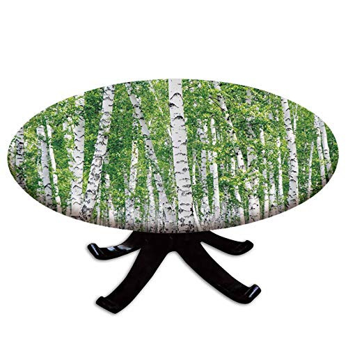 Elastic Edged Polyester Fitted Table Cover Fresh Green Leaves Summer Forest Rural Landscape Lush Environmental Image Decorative Fits up 40 inch-44 inch Diameter Tables The Ultimate Protection for Your Table G