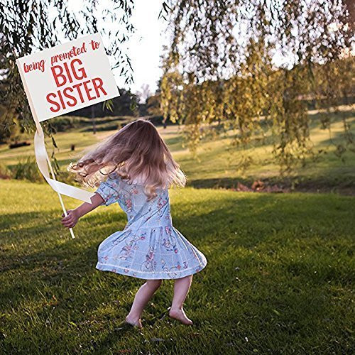 Being Promoted to Big Sister Sign for New Baby Pregnancy Announcement 1191 Being Promoted to Big Sister Sign for New Baby Pregnancy Announcement 1191