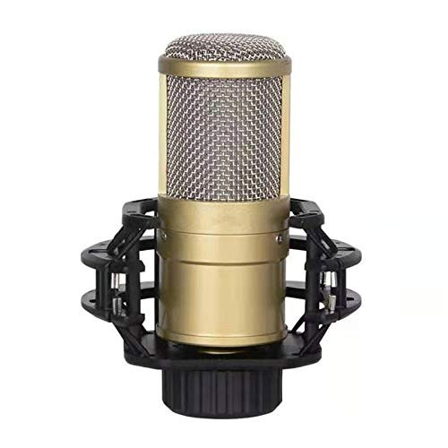 LHZMD Microphone  Portable Karaoke  Large-Diaphragm Condenser Microphone Mobile Phone and Computer Live Broadcast Network K Song Microphone C