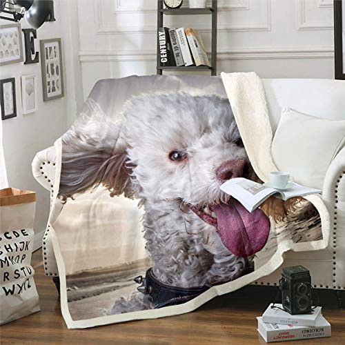 Cute Puppy Dog Fleece Throw Blanket Miniature Poodle Dog Sherpa Blanket Girls Sunset Beach Print Plush Blanket Ocean Pet Animal Decor Fuzzy Blanket for Sofa Bed Couch Throw 50x60 Inch Cute Puppy Dog Fleece Throw Blanket Miniature Poodle Dog Sherpa Blanket Girls Sunset Beach Print Plush Blanket Ocean Pet Animal Decor Fuzzy Blanket for Sofa Bed Couch Throw 50x60 Inch