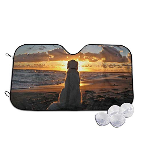 Golden Retriever at Sunset Auto Sun Shade for Windshield Foldable Cute Car Sunshade Blocks UV Rays Sun Visor Protector