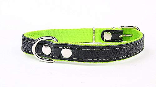 Dog Collar with Soft Lining and Strong Genuine Leather Collar Width 25 mm Length 55 cm Green