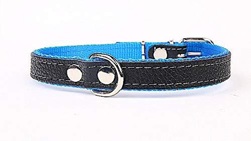 Dog Collar with Soft Lining and Strong Genuine Leather Collar Width 25 mm Length 55 cm Blue