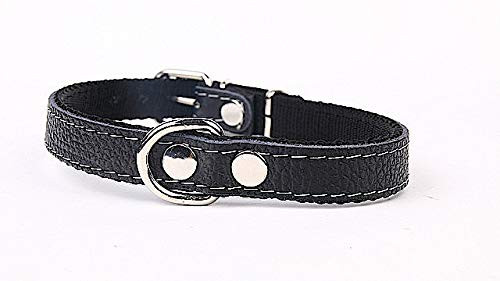 Dog Collar with Soft Lining and Strong Genuine Leather Black Width 16 mm Length 41 cm