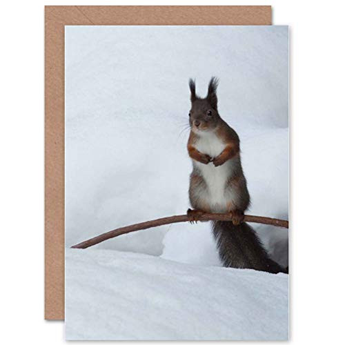 Wee Blue Coo Animal Nature Squirrel Winter Snow Furry Cool Cute Blank Greetings Card